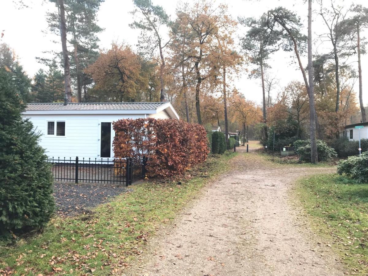 Chalet Bosrand 42 Park Veluwshof 6 P Hoenderloo Dış mekan fotoğraf