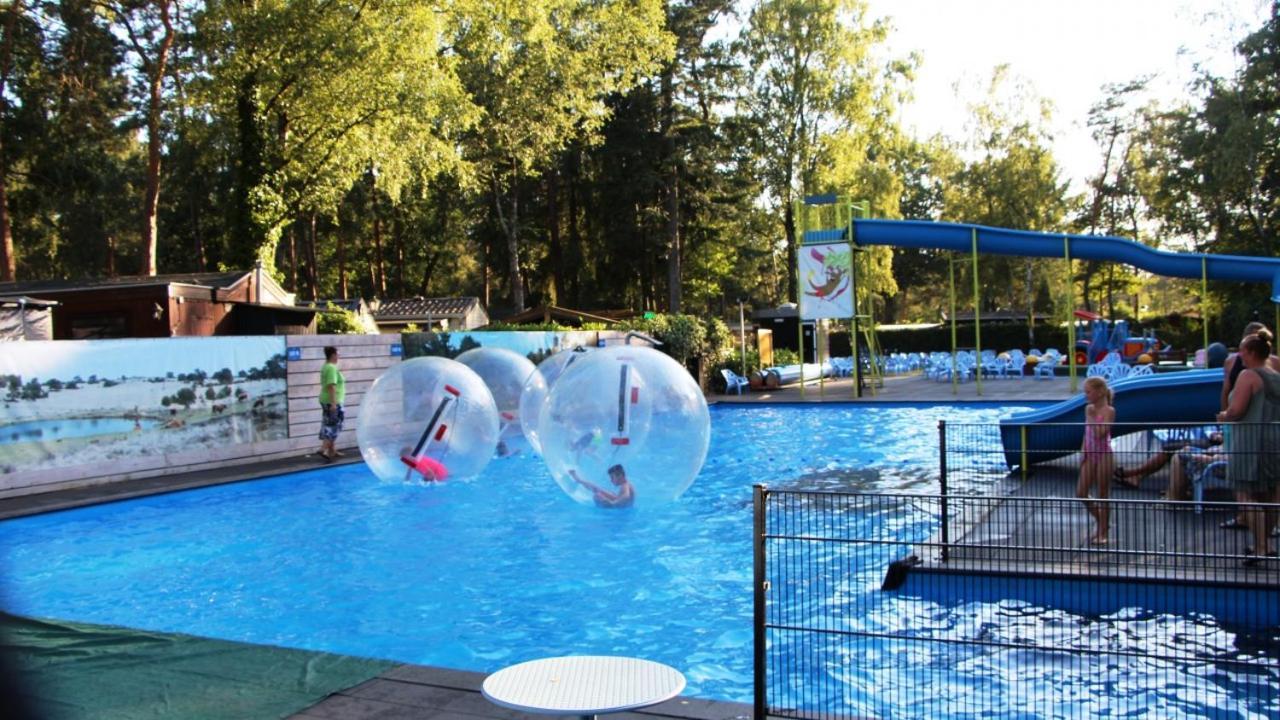 Chalet Bosrand 42 Park Veluwshof 6 P Hoenderloo Dış mekan fotoğraf